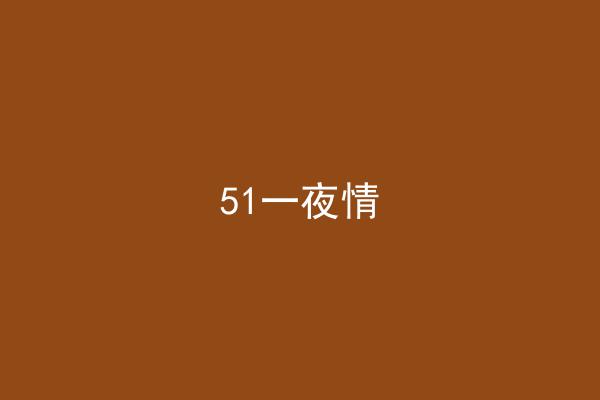 51一夜情