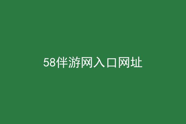 58伴游网入口网址