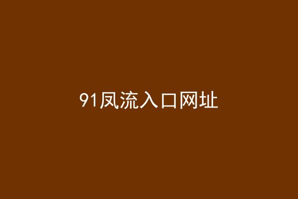 91凤流入口网址