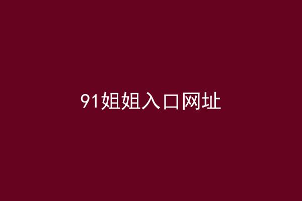 91姐姐入口网址