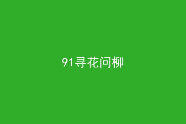 91寻花问柳