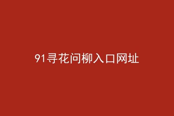 91寻花问柳入口网址