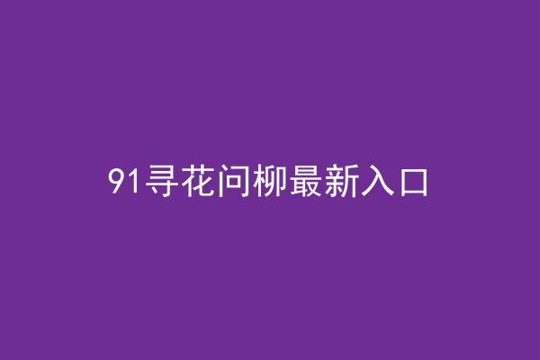 91寻花问柳最新入口