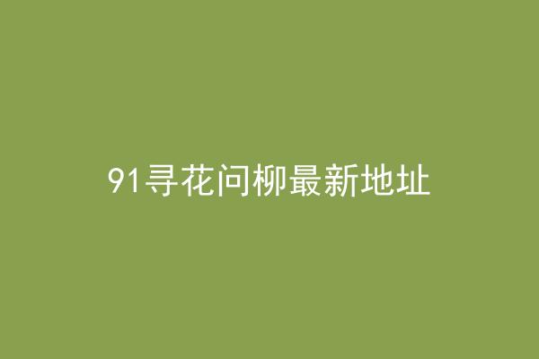 91寻花问柳最新地址