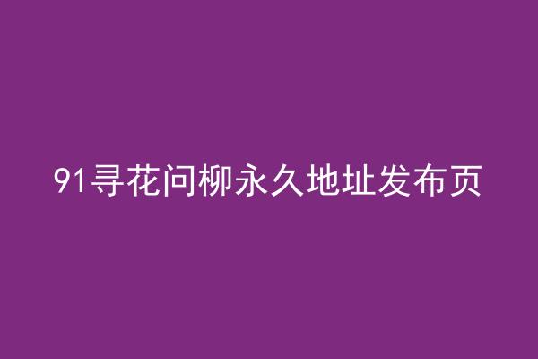 91寻花问柳永久地址发布页