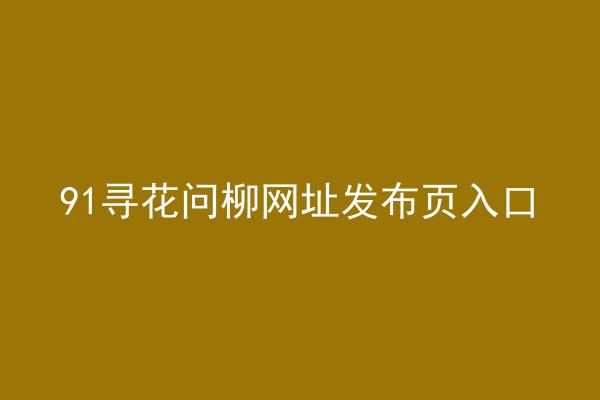 91寻花问柳网址发布页入口