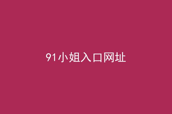 91小姐入口网址
