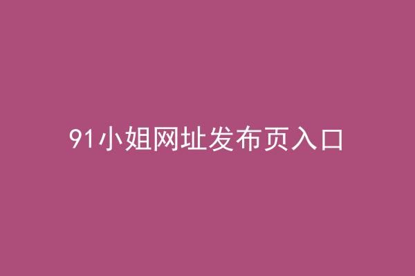 91小姐网址发布页入口