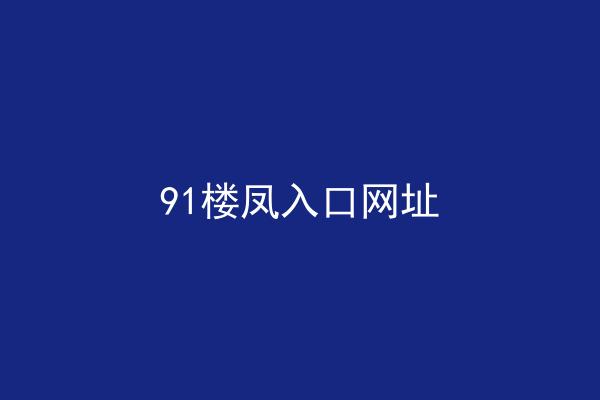 91楼凤入口网址