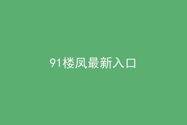 91楼凤最新入口
