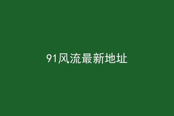 91风流最新地址