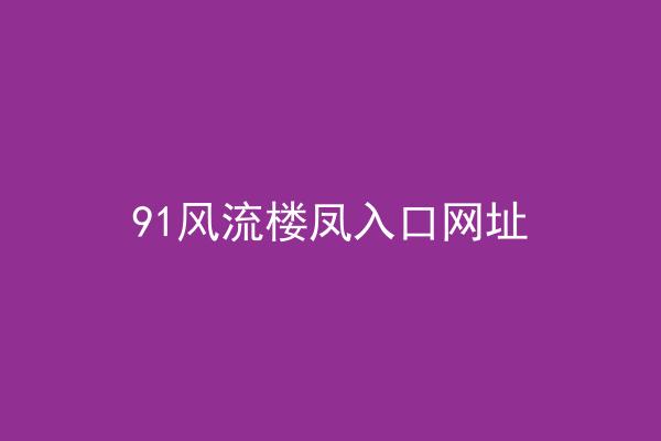91风流楼凤入口网址