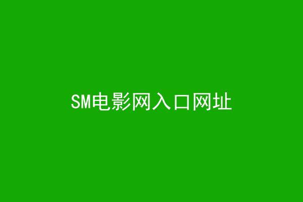 SM电影网入口网址