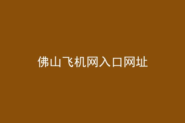 佛山飞机网入口网址