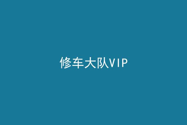 修车大队VIP