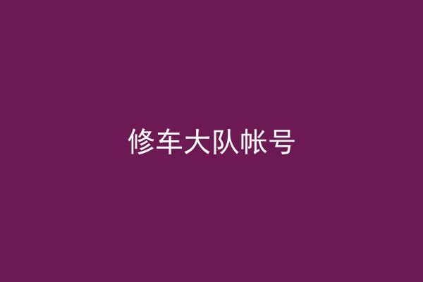 修车大队帐号