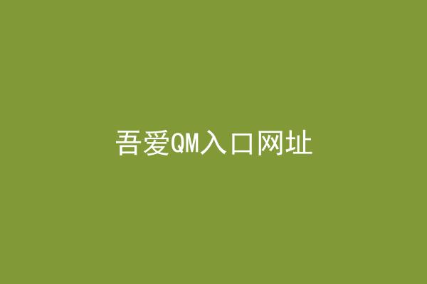吾爱QM入口网址