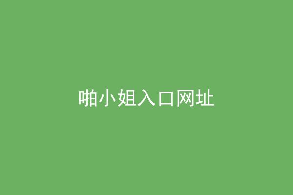 啪小姐入口网址