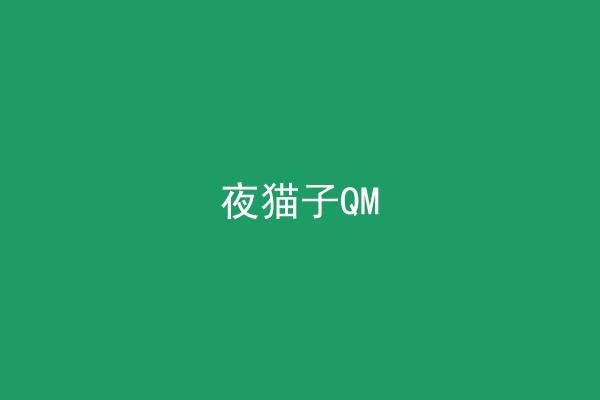 夜猫子QM