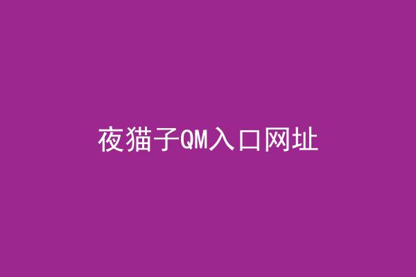 夜猫子QM入口网址
