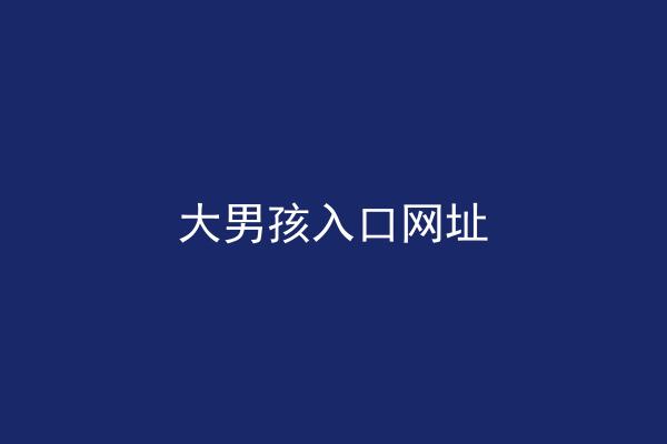 大男孩入口网址