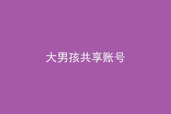 大男孩共享账号
