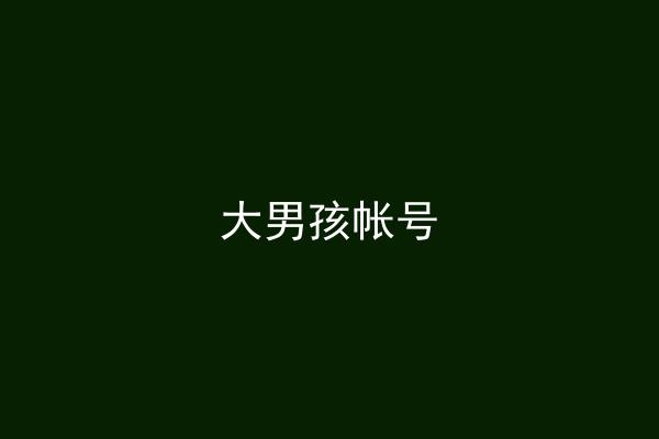 大男孩帐号