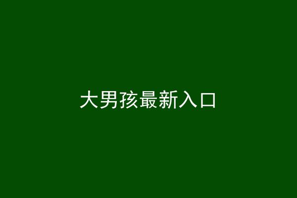 大男孩最新入口