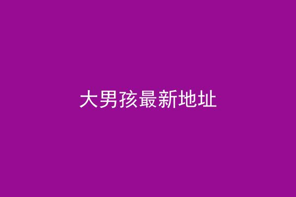 大男孩最新地址