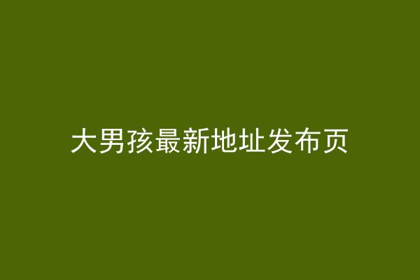 大男孩最新地址发布页