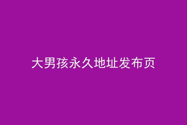 大男孩永久地址发布页