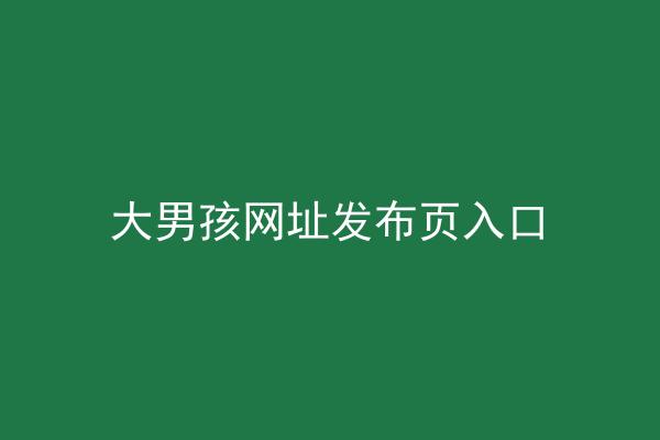 大男孩网址发布页入口