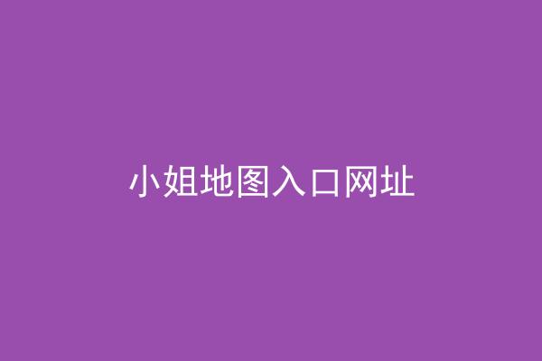 小姐地图入口网址
