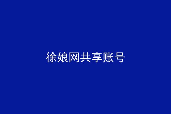 徐娘网共享账号