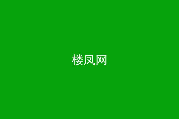 楼凤网