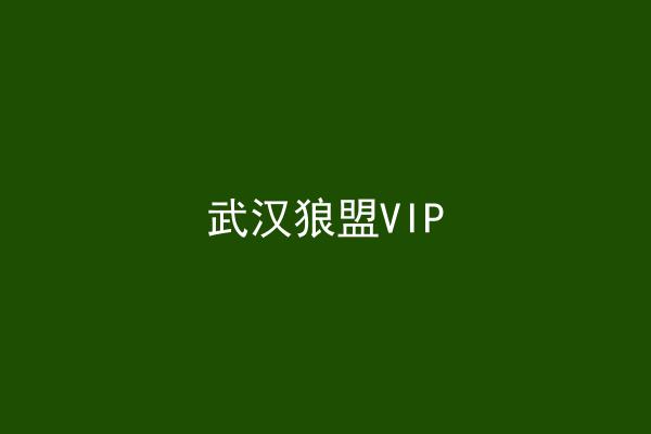 武汉狼盟VIP