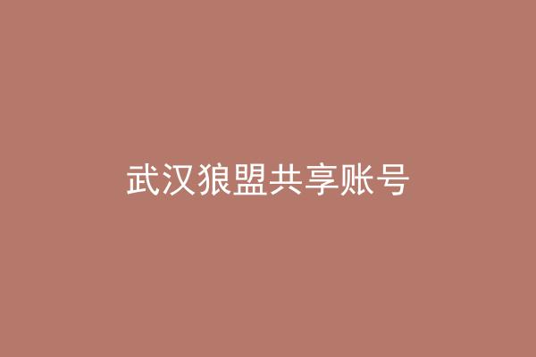 武汉狼盟共享账号