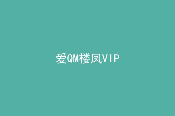 爱QM楼凤VIP