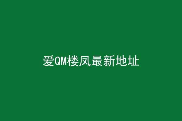 爱QM楼凤最新地址