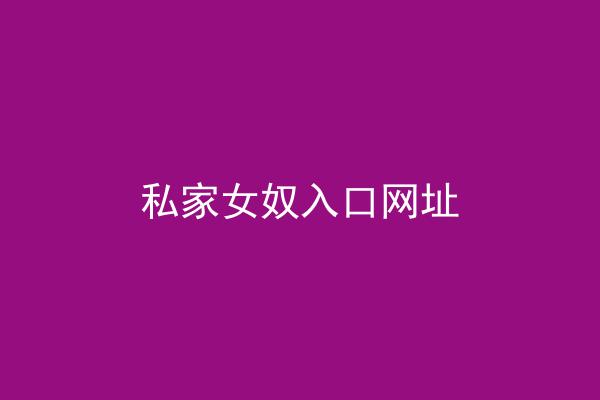 私家女奴入口网址