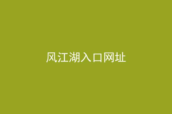 风江湖入口网址